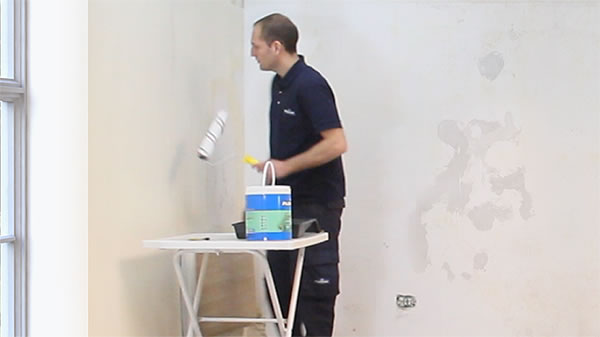 Fijador Segunda Mano